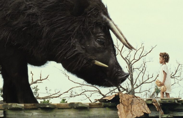 „Beasts of the southern wild“: Der Herzschlag des magischen Realismus‘